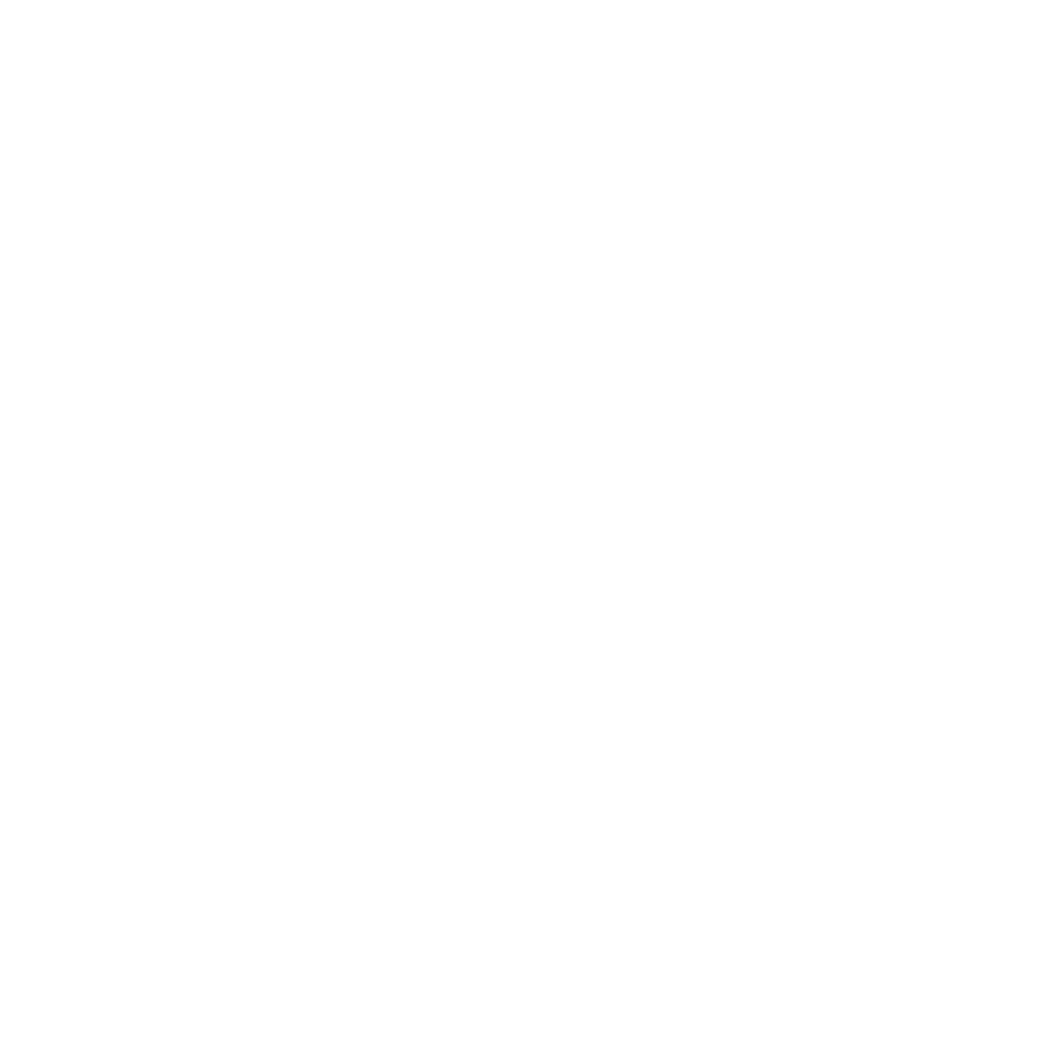 Logo White
